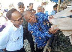 Pemkot Tasik Periksa Ketat Hewan Kurban, Viman: Kita Pastikan Sehat, Ibadah Berkah