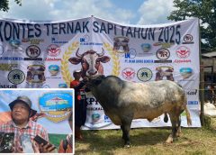 Diikuti Antusias Puluhan Peserta, DKP3 Kota Tasik Sukses Gelar Kontes dan Bursa Sapi Potong Tahun 2025