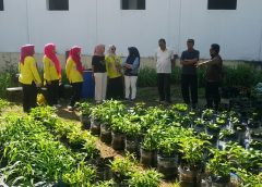 Cetak Kemandirian Pangan Keluarga, Teknologi FONi IPB Sasar Lahan PKK Kota Tasik