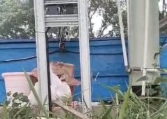 Petani di Kersamenak Rugi Puluhan Juta Rupiah Akibat Limbah SPPG, DPRD Kota Tasik Buka Suara